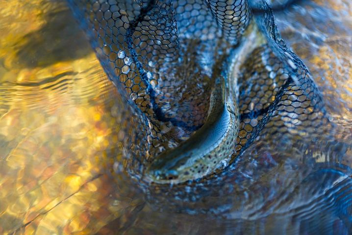 MHF SEPTEMBER 2020 FISHING REPORT