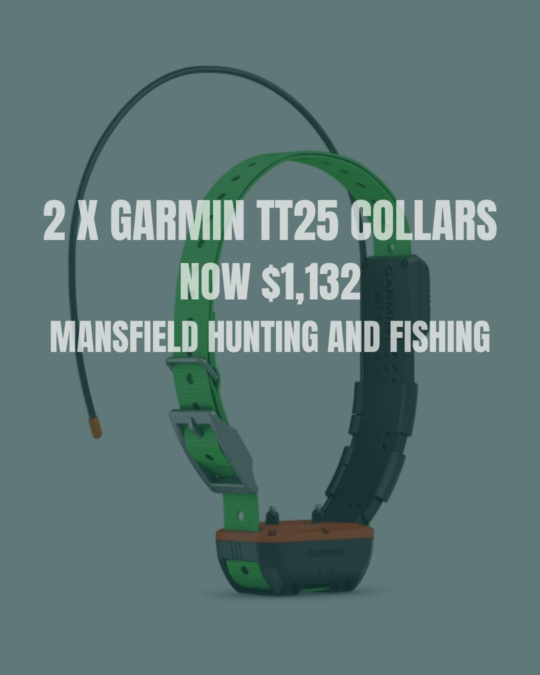 Garmin TT25 Collar Package
