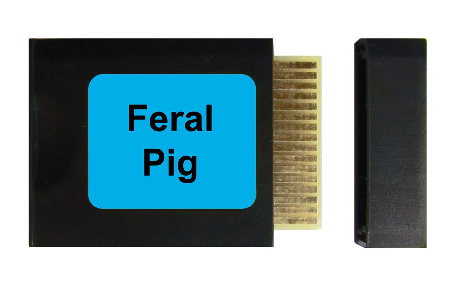 AJ Productions Sound Card - Feral Pig - Blue Label - Caller Not Included -  - Mansfield Hunting & Fishing - Products to prepare for Corona Virus