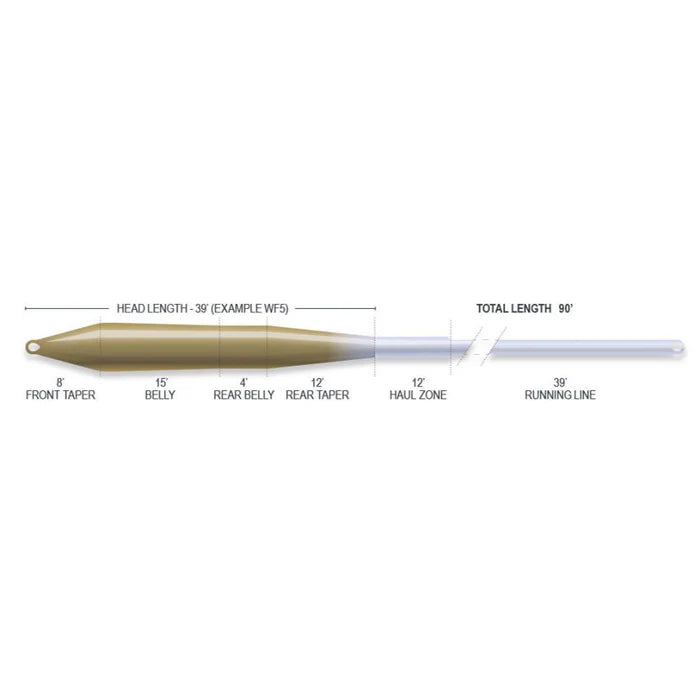 Airflo Super Flo Universal Taper WF-4F - - Mansfield Hunting & Fishing - Products to prepare for Corona Virus