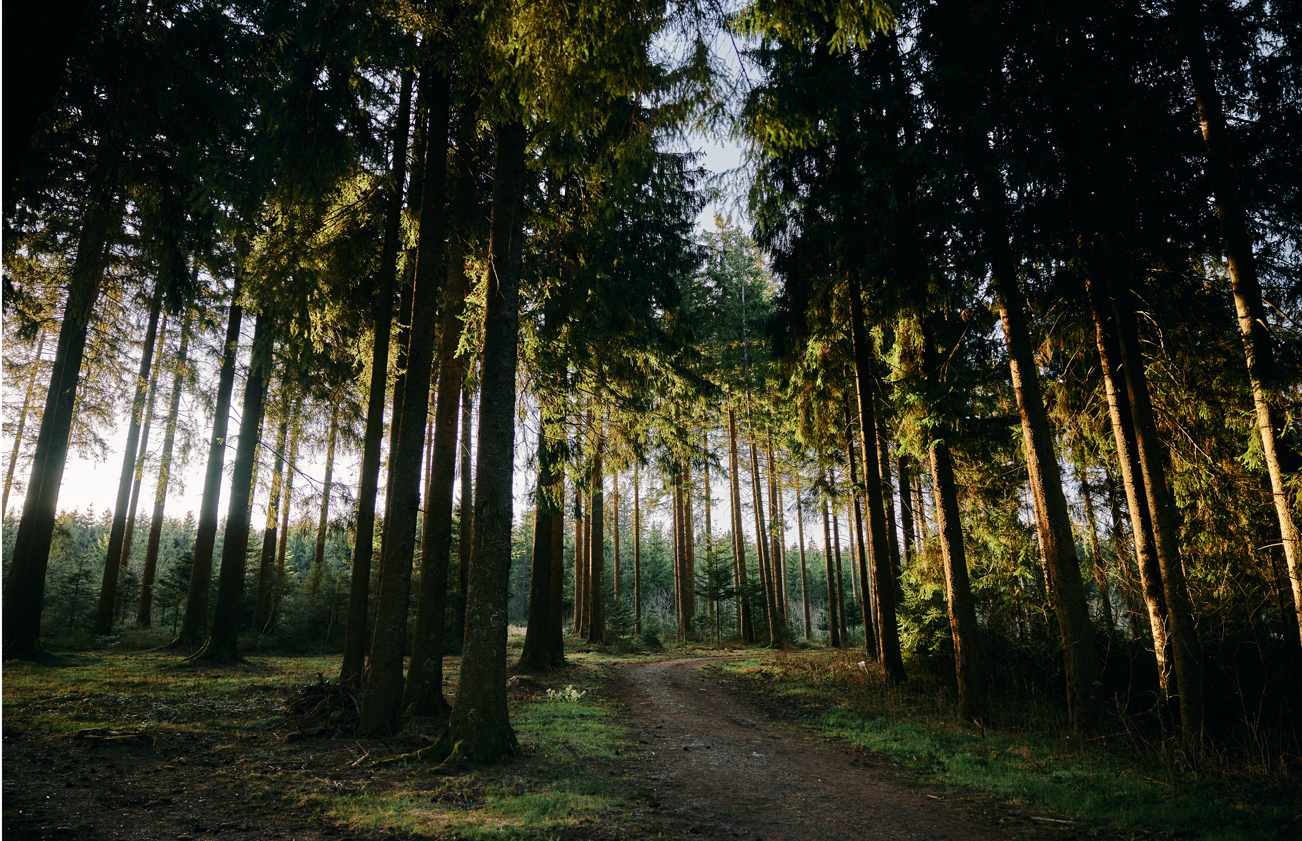 Yeti Magslider Pack - - Mansfield Hunting & Fishing - Products to prepare for Corona Virus