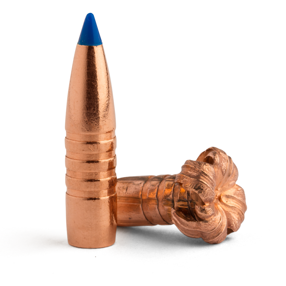 Barnes 416 Cal 350gr TTSX BT - 50pk - - Mansfield Hunting & Fishing - Products to prepare for Corona Virus