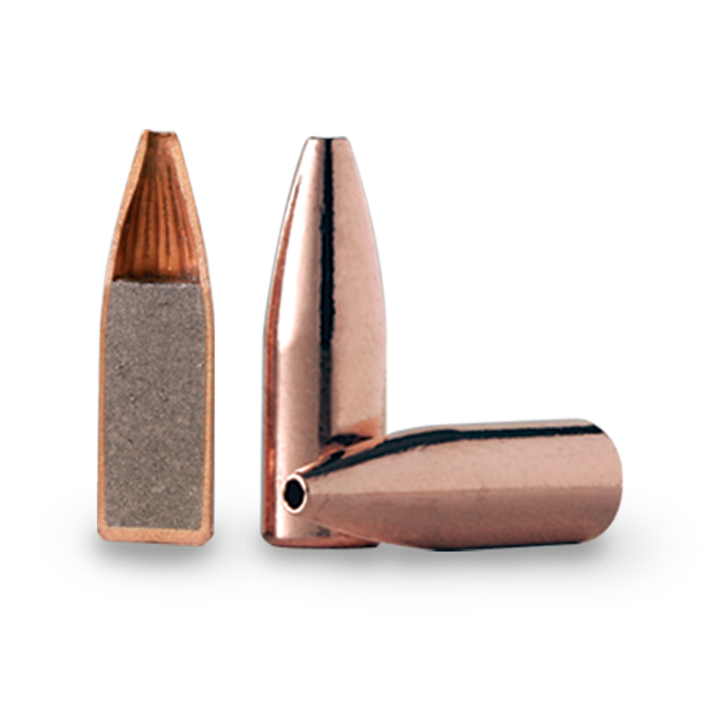 Barnes Varmint Grenade 22 Cal 50gr FB Projectiles - 250Pk - - Mansfield Hunting & Fishing - Products to prepare for Corona Virus