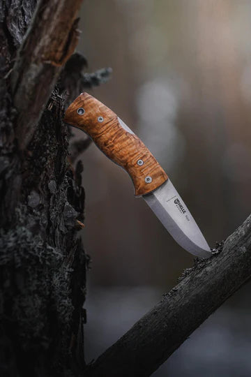 Helle Nipa 69mm Stainless Steel Folding Knife - - Mansfield Hunting & Fishing - Products to prepare for Corona Virus