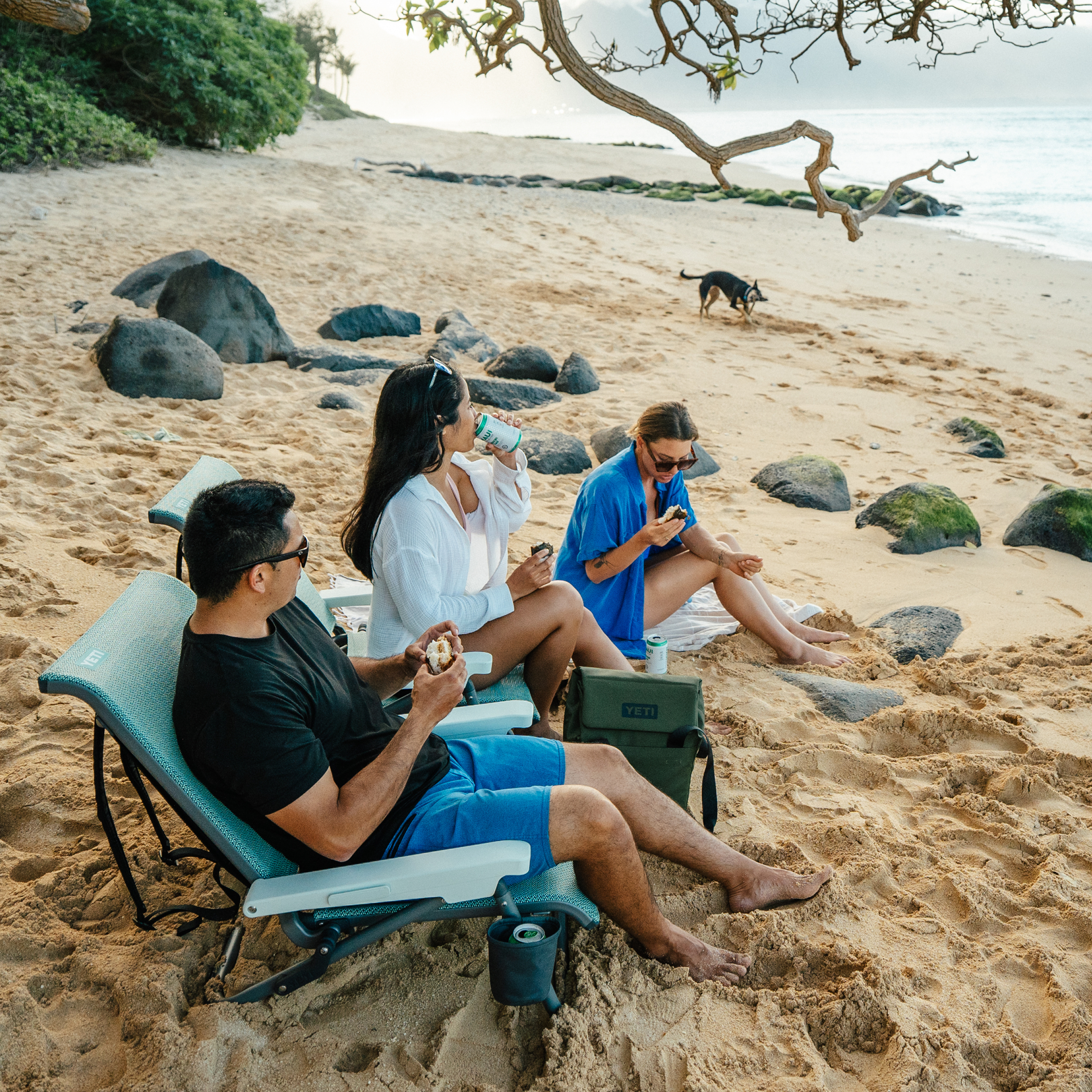 Yeti Hondo Beach Chair - - Mansfield Hunting & Fishing - Products to prepare for Corona Virus