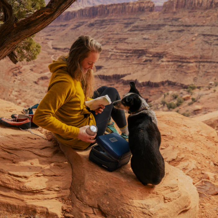 Yeti DayTrip Insulated Lunch Box - 3L - - Mansfield Hunting & Fishing - Products to prepare for Corona Virus