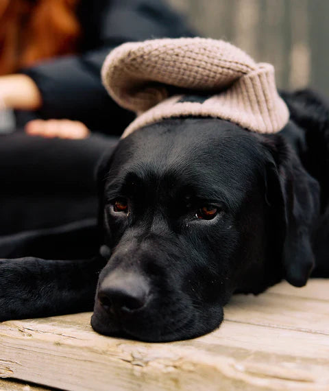 Swanndri Newton Wool Beanie - Taupe Marle - TAUPE MARLE - Mansfield Hunting & Fishing - Products to prepare for Corona Virus