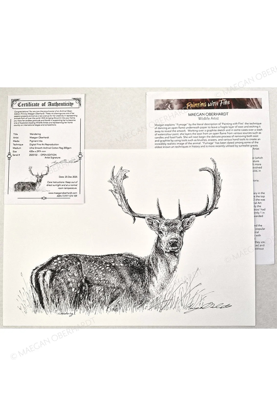 Maegan Oberhardt A4 Fallow Deer Print - Limited Edition