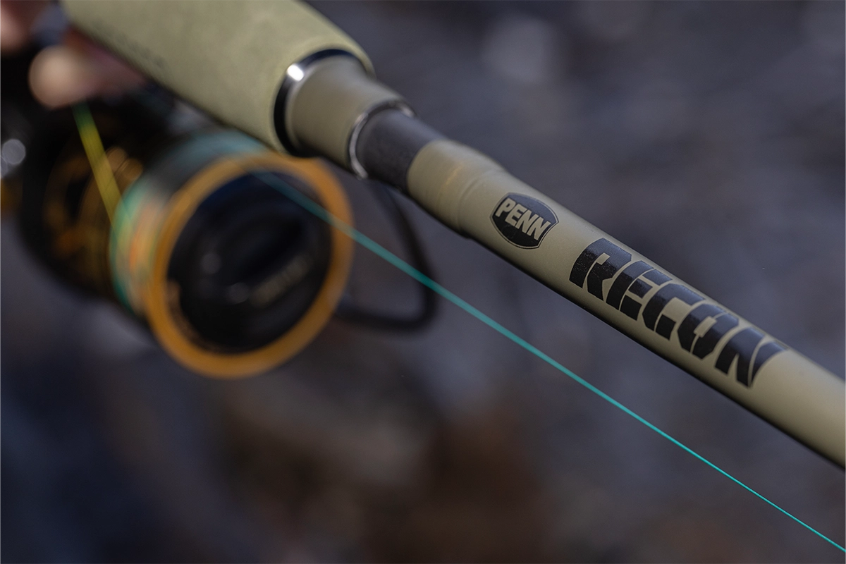 Penn Recon-SP 702L 2-4kg Spin Rod -  - Mansfield Hunting & Fishing - Products to prepare for Corona Virus