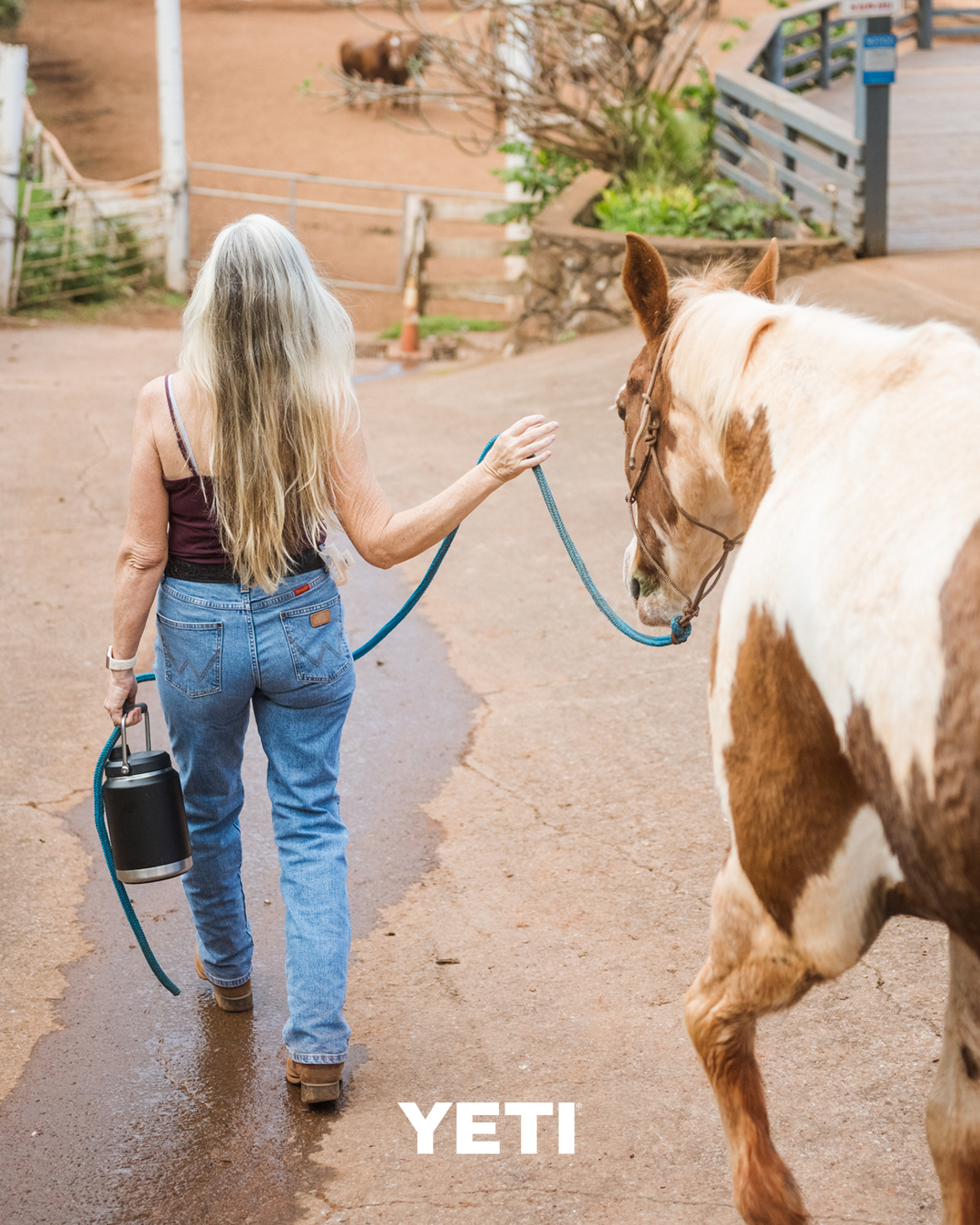 Yeti Half Gallon Jug V2.0 (1.9L) - - Mansfield Hunting & Fishing - Products to prepare for Corona Virus