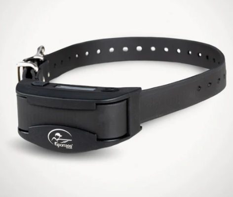 SportDog Nobark Rechargable Bark Control SBC-R -  - Mansfield Hunting & Fishing - Products to prepare for Corona Virus