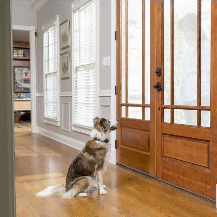 Pet Safe Spray Bark Citron/Unscent EU AU - - Mansfield Hunting & Fishing - Products to prepare for Corona Virus