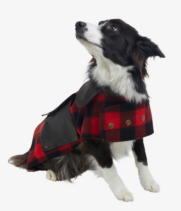 Swanndri Classic Dog Cover - Red/Black Check - XS / RED/BLACK CHECK - Mansfield Hunting & Fishing - Products to prepare for Corona Virus