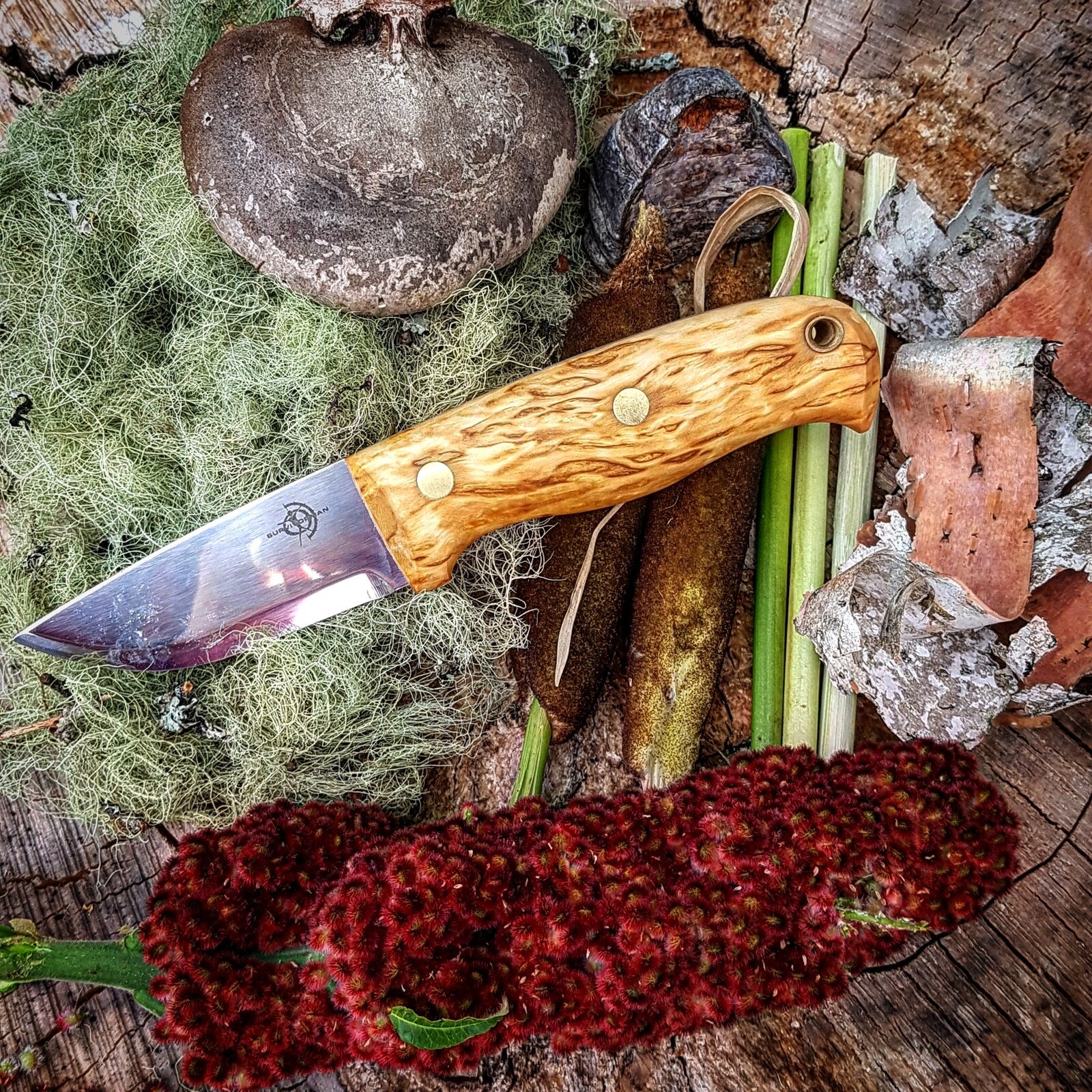 Helle Wabakimi - 84mm Triple Laminated High-Alloy Tool Steel Knife (Curly Bitch Handle With Leather Sheath) -  - Mansfield Hunting & Fishing - Products to prepare for Corona Virus