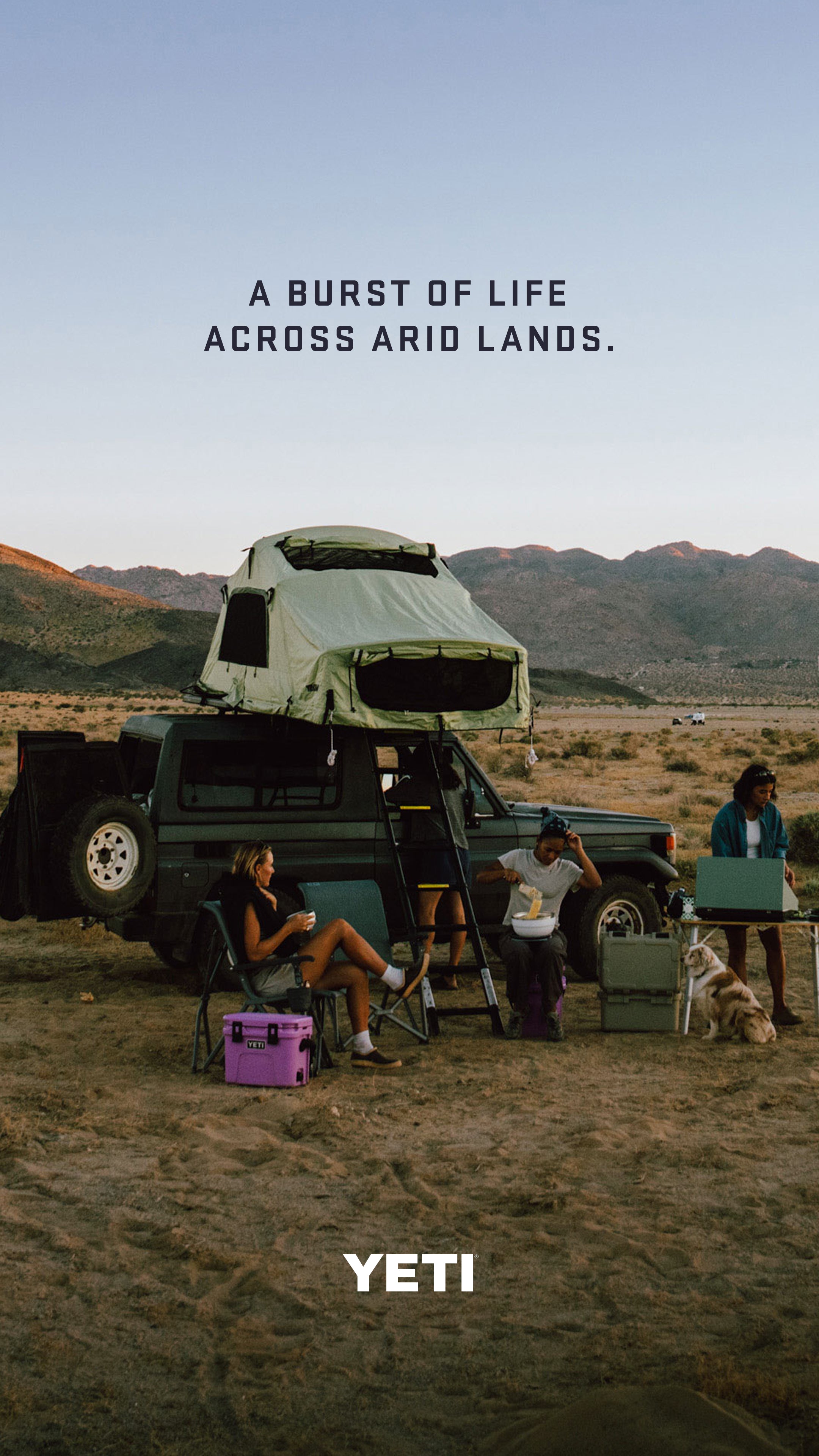 Yeti Hopper Flip 12 - - Mansfield Hunting & Fishing - Products to prepare for Corona Virus