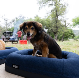 Yeti Dog Bed - - Mansfield Hunting & Fishing - Products to prepare for Corona Virus