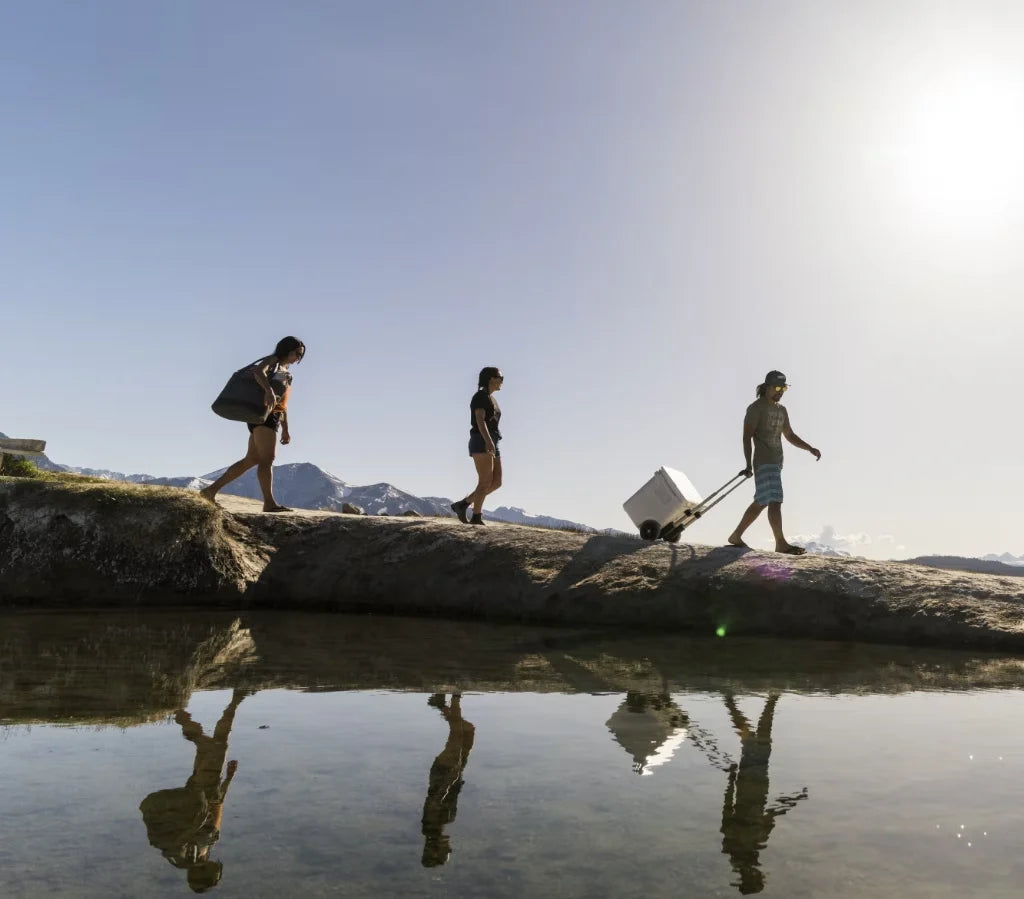 Yeti Roadie 60 Hard Cooler - - Mansfield Hunting & Fishing - Products to prepare for Corona Virus