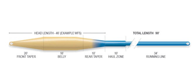 Primal Point Fly Rod Combo - - Mansfield Hunting & Fishing - Products to prepare for Corona Virus