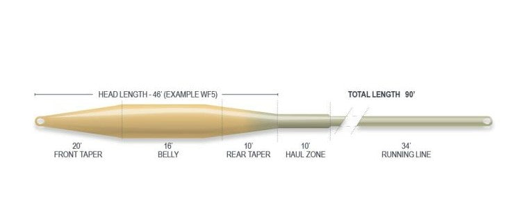 Airflo Superflo Tactical Taper Fly Line - - Mansfield Hunting & Fishing - Products to prepare for Corona Virus