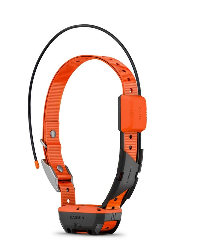 Garmin Alpha T20 GPS Collar AU -  - Mansfield Hunting & Fishing - Products to prepare for Corona Virus