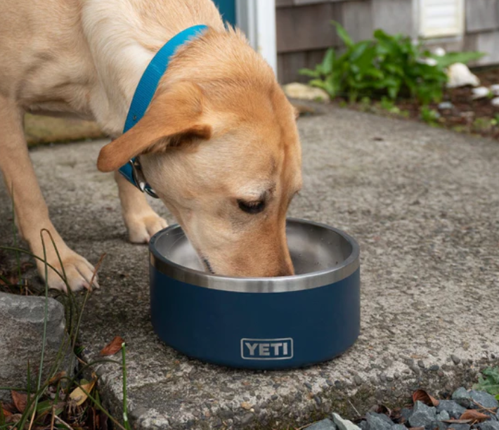 Yeti Boomer 8 Dog Bowl - - Mansfield Hunting & Fishing - Products to prepare for Corona Virus