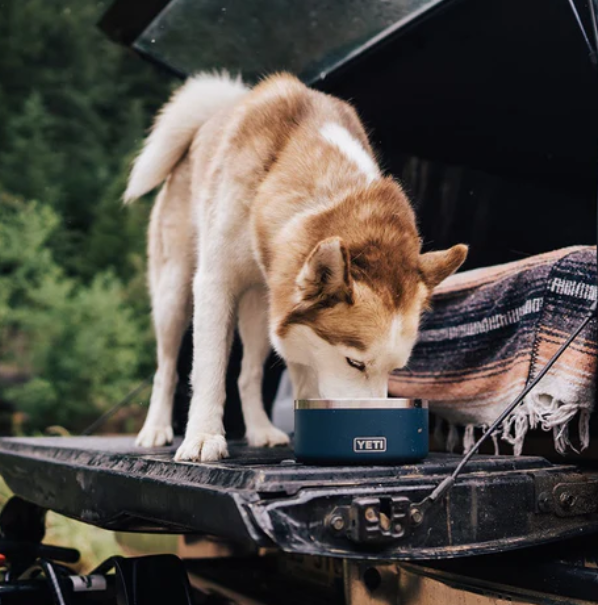 Yeti Boomer 4 Dog Bowl - - Mansfield Hunting & Fishing - Products to prepare for Corona Virus