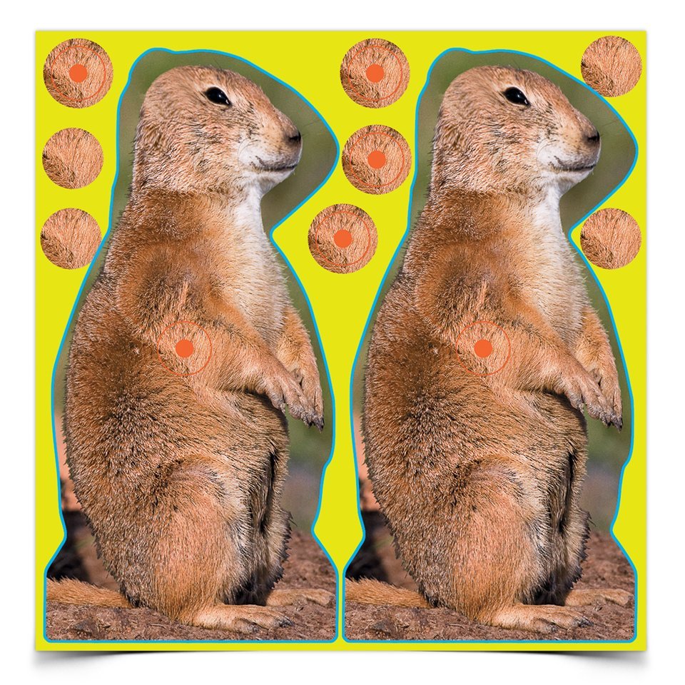 Birchwood Casey Shoot N C Prairie Dog Target - - Mansfield Hunting & Fishing - Products to prepare for Corona Virus