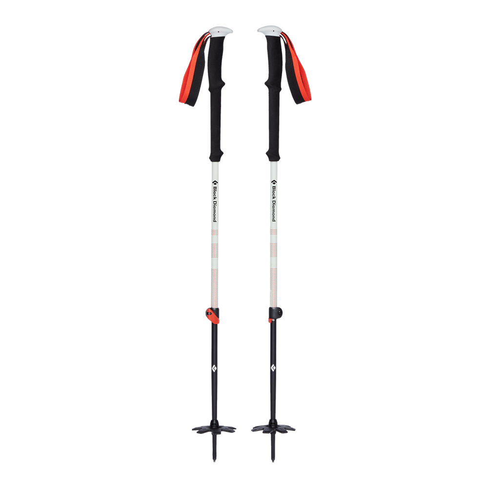 Black Diamond Expedition 2 F19 Hiking poles 155cm - - Mansfield Hunting & Fishing - Products to prepare for Corona Virus