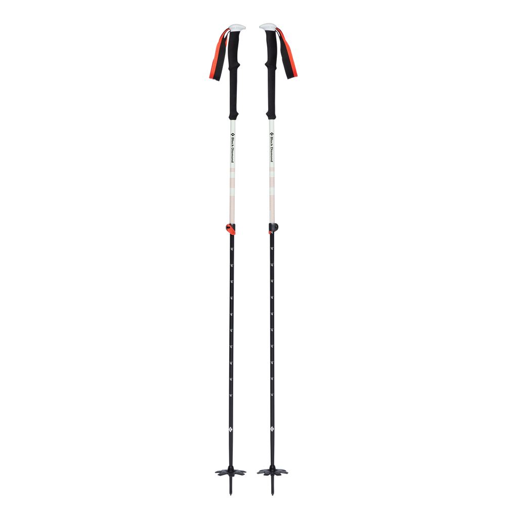 Black Diamond Expedition 2 F19 Hiking poles 155cm - - Mansfield Hunting & Fishing - Products to prepare for Corona Virus