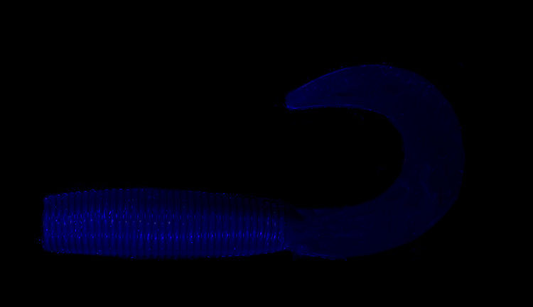 Daiwa Baitjunkie 2.5 Inch Grub - - Mansfield Hunting & Fishing - Products to prepare for Corona Virus