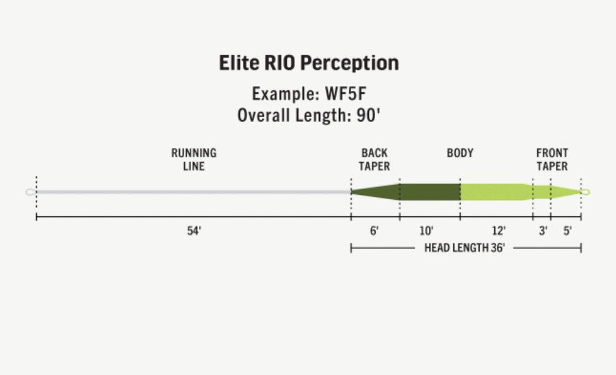 Rio Elite Perception Floating Fly Line - - Mansfield Hunting & Fishing - Products to prepare for Corona Virus
