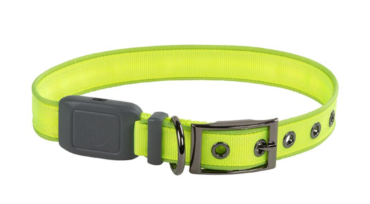 Nitedog Rechargeable Led Collar - Lime Green - L - Mansfield Hunting & Fishing - Products to prepare for Corona Virus