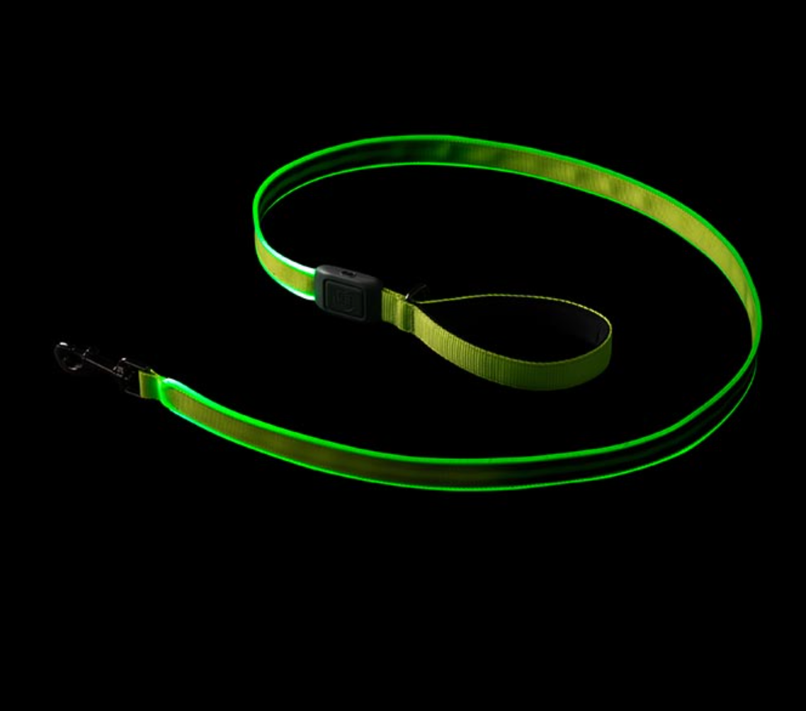 Nitedog Rechargeable Led Leash - Lime Green - - Mansfield Hunting & Fishing - Products to prepare for Corona Virus