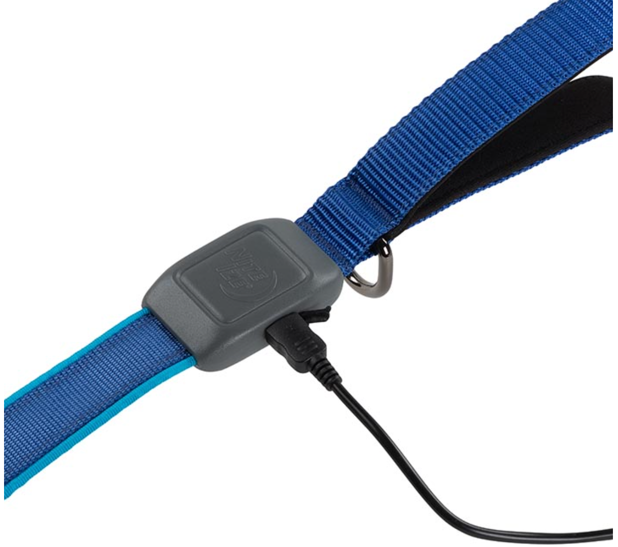 Nitedog Rechargeable Led Leash - Lime Green - - Mansfield Hunting & Fishing - Products to prepare for Corona Virus