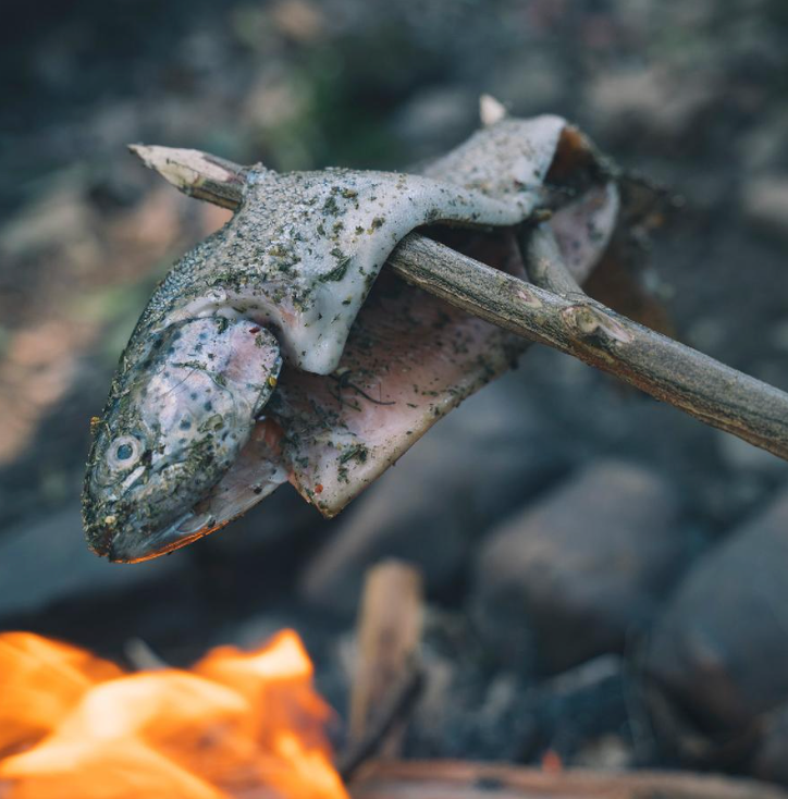 Wild Fire Seasonings And Rubs - Seafood & River Fish -  - Mansfield Hunting & Fishing - Products to prepare for Corona Virus