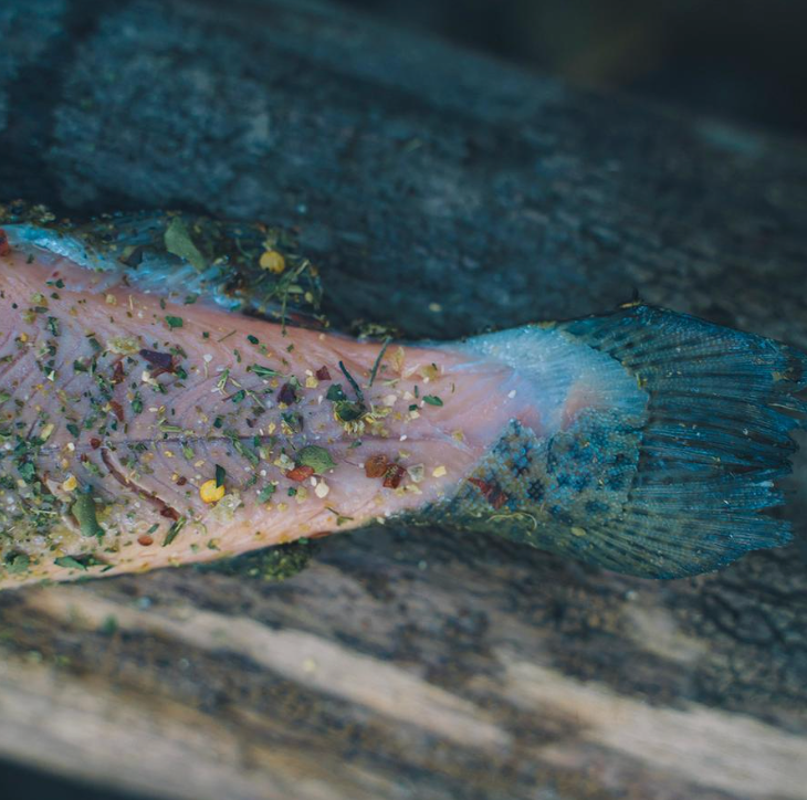 Wild Fire Seasonings And Rubs - Seafood & River Fish -  - Mansfield Hunting & Fishing - Products to prepare for Corona Virus