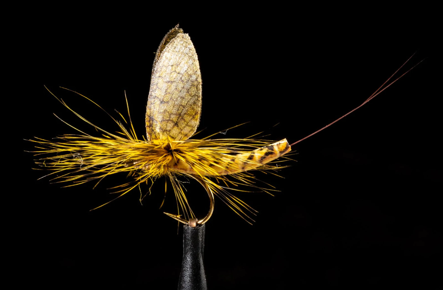 True Vulgate Mayfly #12 - - Mansfield Hunting & Fishing - Products to prepare for Corona Virus