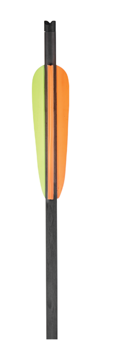 Carbon Black Arrow 30 Inch - - Mansfield Hunting & Fishing - Products to prepare for Corona Virus