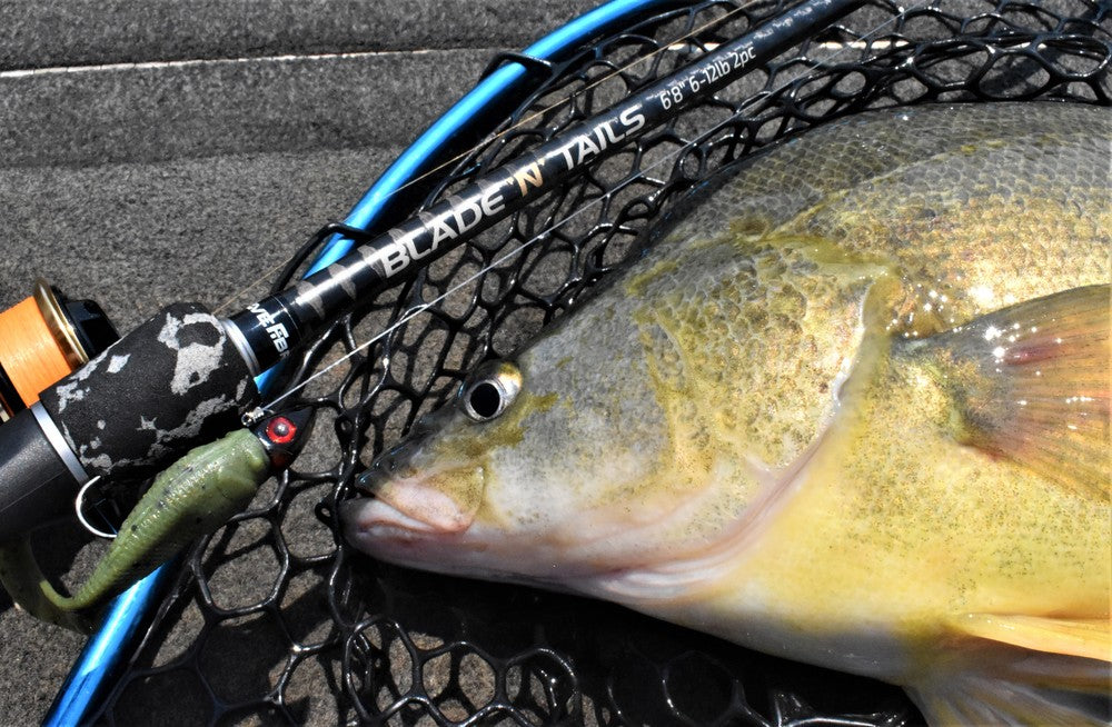 Live Fibre Blade N Tails Spin Rod -  - Mansfield Hunting & Fishing - Products to prepare for Corona Virus