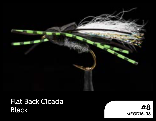 Manic Flat Back Cicada - #6 - - Mansfield Hunting & Fishing - Products to prepare for Corona Virus