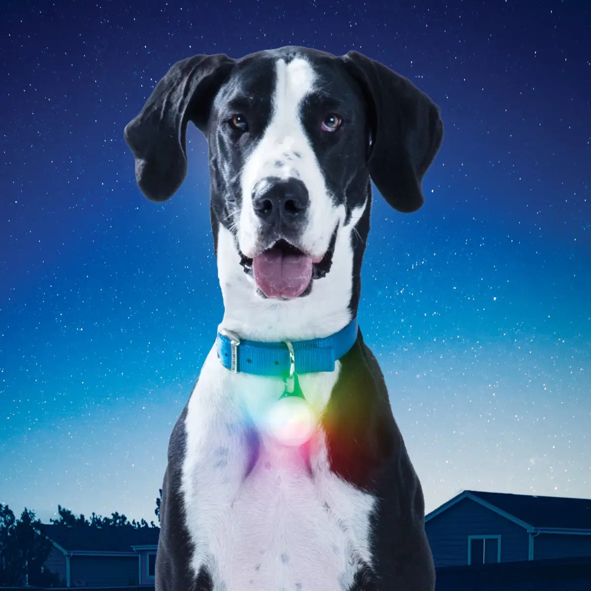 Niteize SpotLit XL Rechargeable Collar Light - Disc-O Se - - Mansfield Hunting & Fishing - Products to prepare for Corona Virus