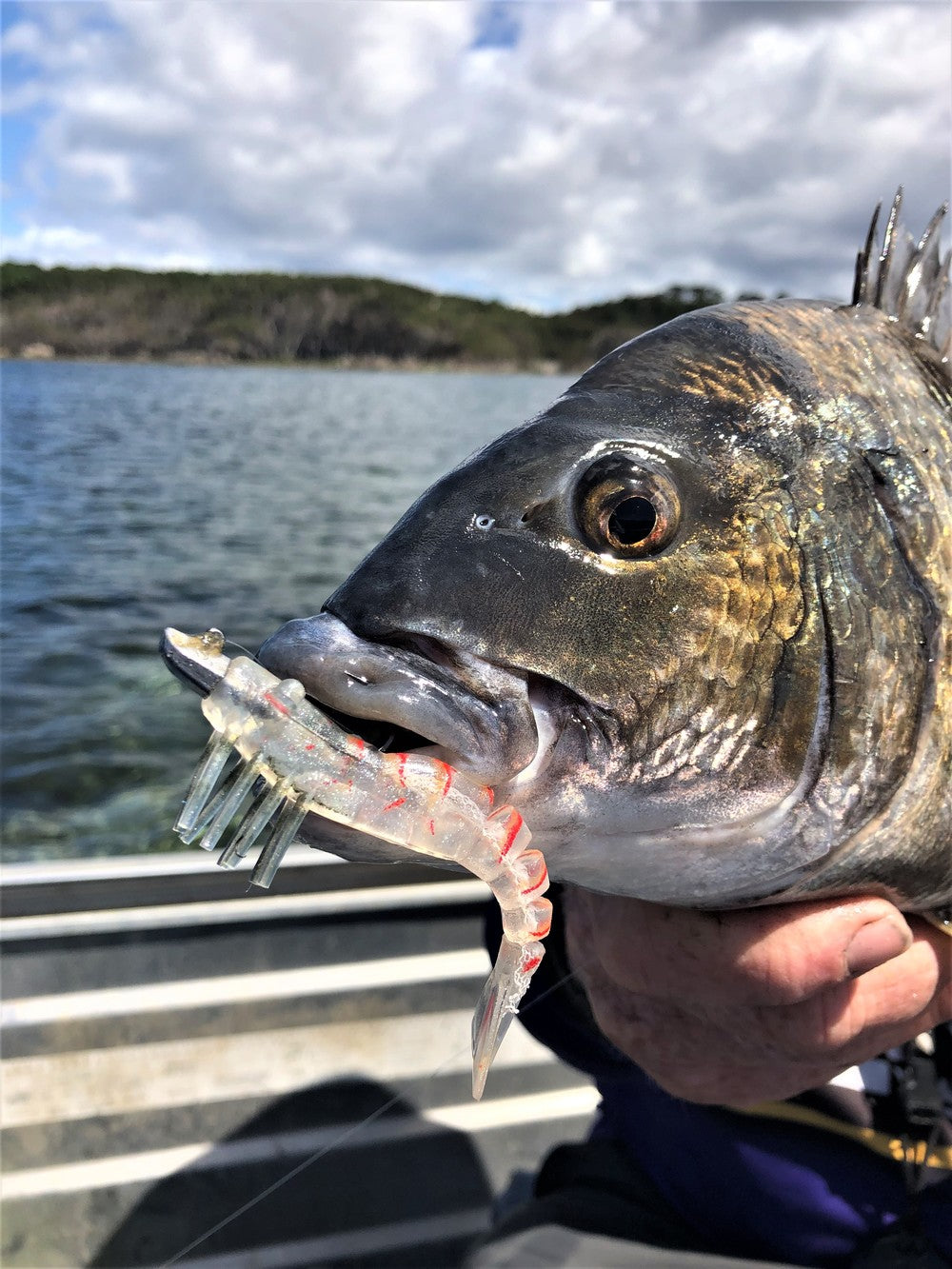 Mustad Darter Jig Head - - Mansfield Hunting & Fishing - Products to prepare for Corona Virus