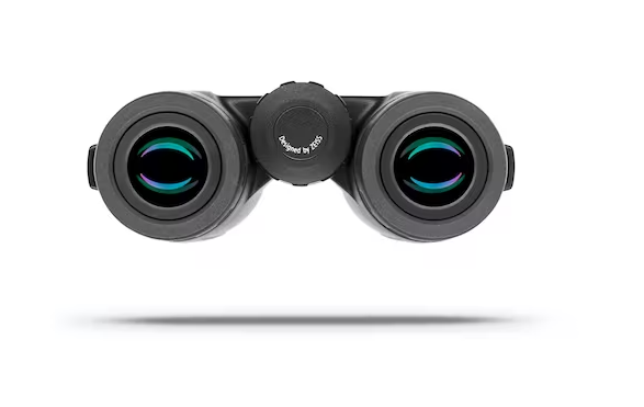 Zeiss Terra ED Green Binoculars - 10x42 - - Mansfield Hunting & Fishing - Products to prepare for Corona Virus