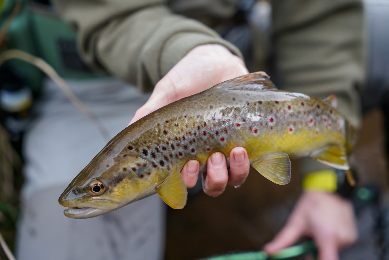 MH&F Fishing Report