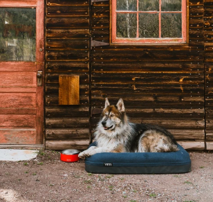 Yeti Dog Beds & Bowls