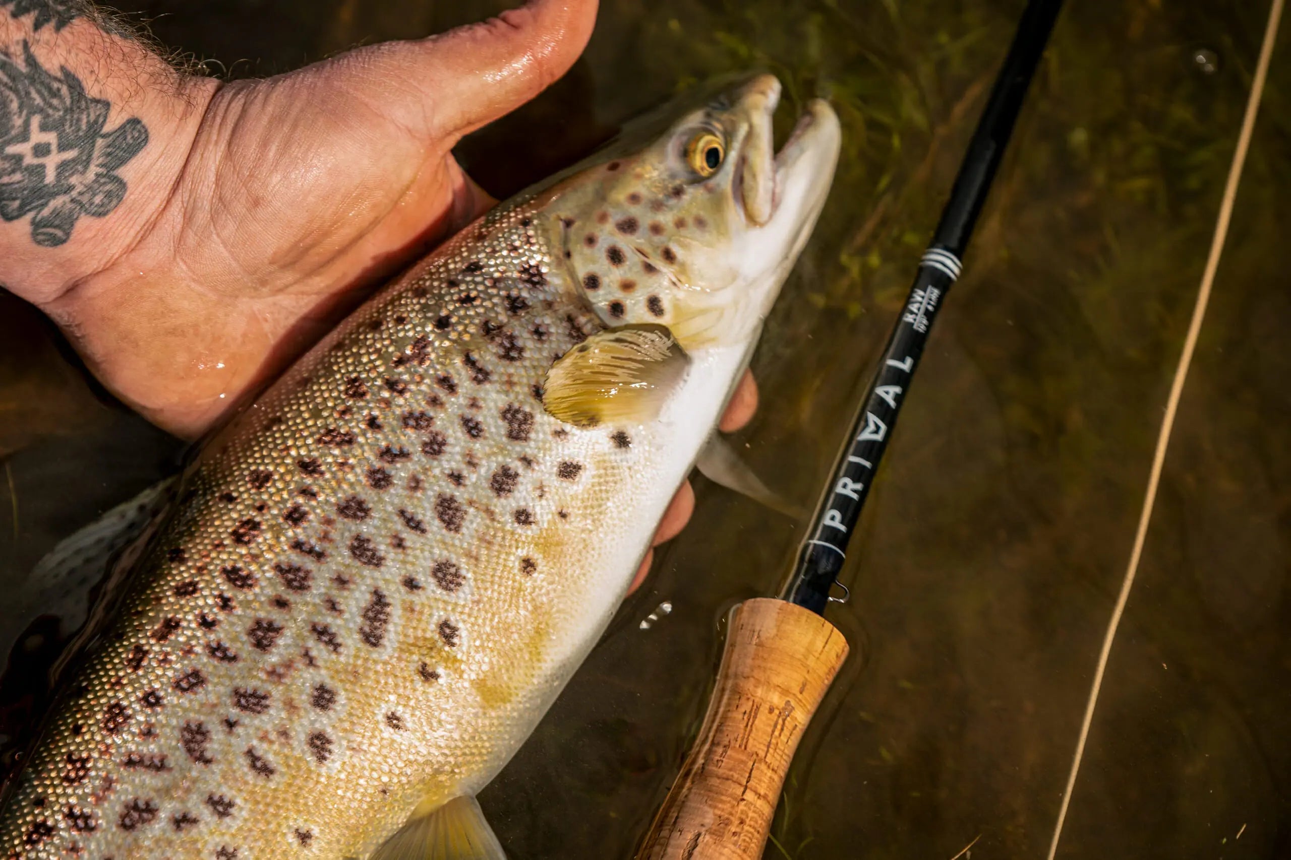 Primal Fly Rods Primal Fly Fishing Rods | Mansfield Hunting & Fishing