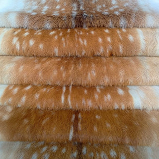 Antler & Hide Preparation