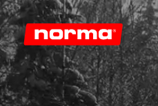 Norma