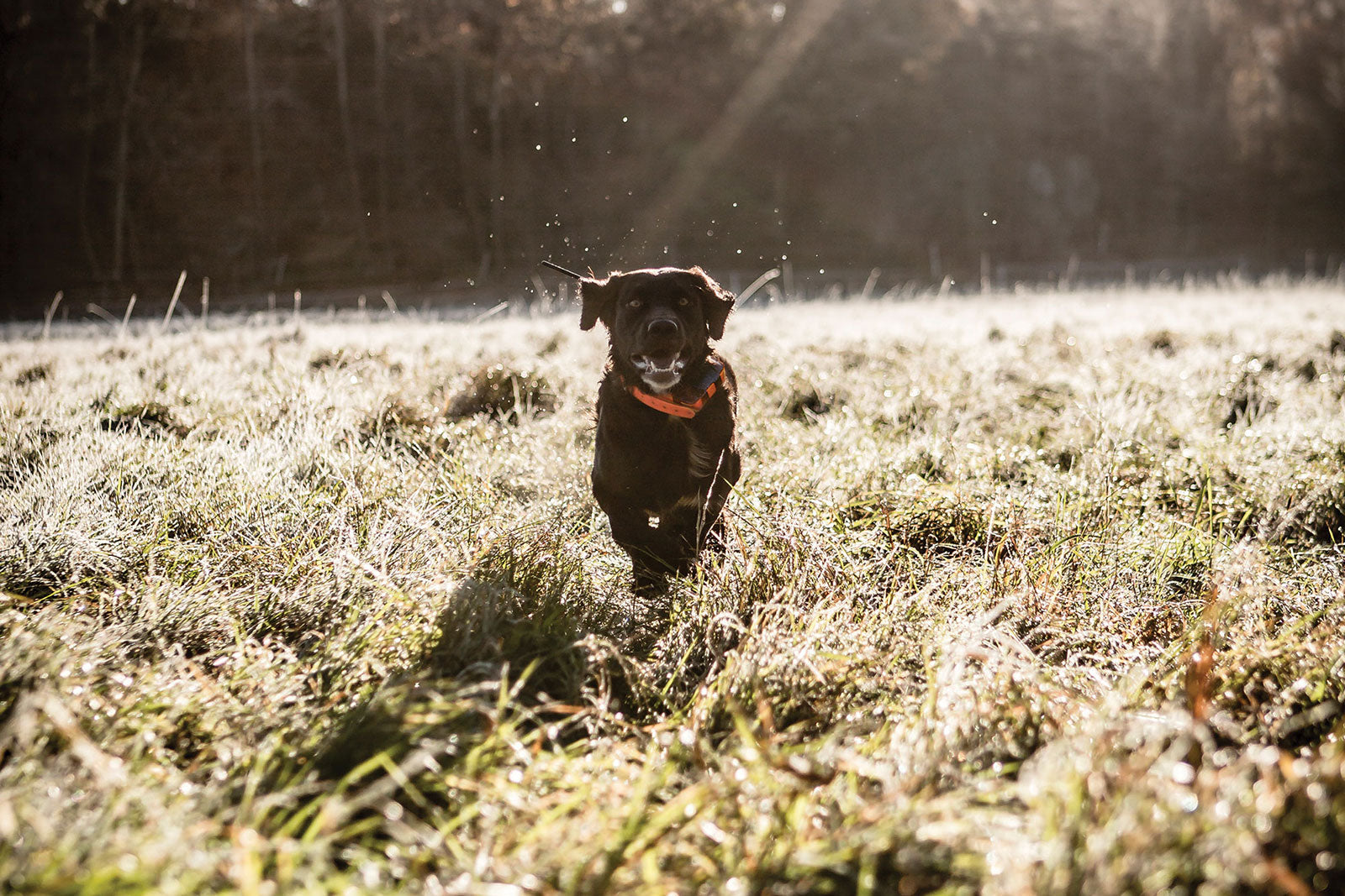 Hunting GPS & Navigation