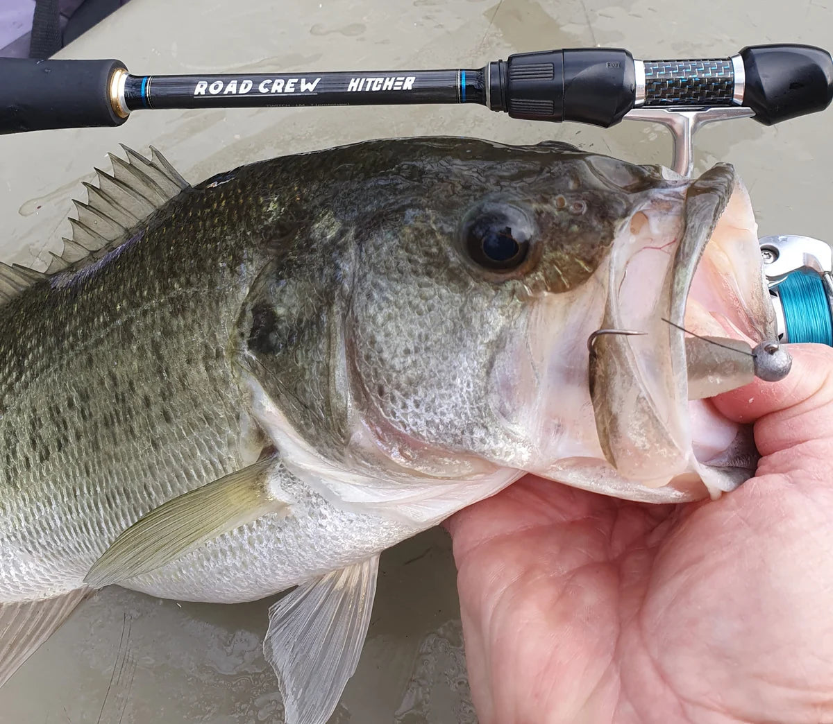 Miller Rods Road Crew Hitcher 6Ft 10In 2-5kg 5Pc Spin Fishing Rod - - Mansfield Hunting & Fishing - Products to prepare for Corona Virus